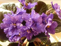 uter limits.webp uter limits.webp