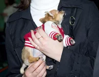 12.webp