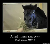 79653-a_pret_menia_kak_suku_esche_travy_mati.jpg