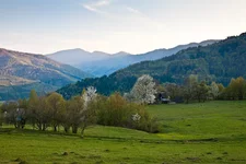  005.webp