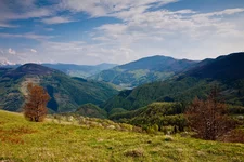  152.webp