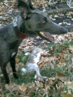 04112010158.webp