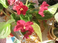 IMG_2576.webp