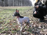 IMG_4912.webp