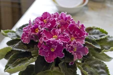 IMG_8002.webp