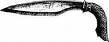 .webp