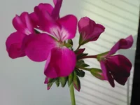 Photo-0004.webp
