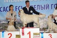 Белгород CACIB 4.04.2011 054.jpg