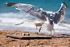 _MG_8630.webp