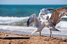 _MG_8655.webp