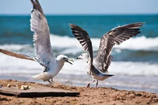 _MG_8658.webp