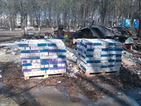 IMAG0097.webp