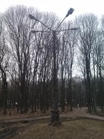 IMAG0100.webp