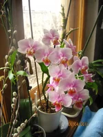 IMG_2903.webp
