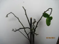 IMG_2904.webp