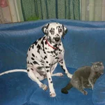 Британи и Стефат.jpg