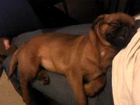 2011-04-07 20.36.00.webp