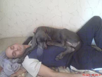DSC03567.webp