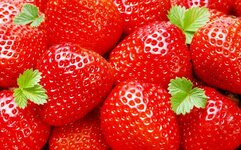 strawberry3_0.jpg