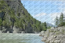 WATERMARK.jpg