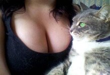 cc8d4e1f31883bec67e266b407d3ddf7.jpg