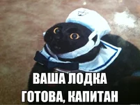 143832522512117797.jpg
