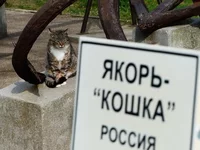 zTGknGIFqHg.webp
