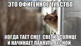 skq7ULQtbQY.jpg