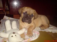 DSC00227.webp