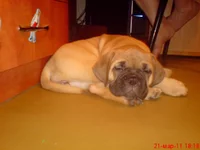 DSC00232.webp