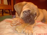 DSC00251.webp