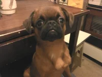 2011-04-08 20.46.08.jpg