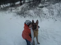 _2.webp