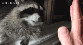 db86e28f-ccb3-47e2-941b-161d99b4f575.gif