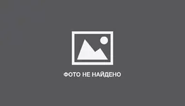 nemeckiy-dog-mutka-samyy-emocionalnyy-pes-v-mire_9.png
