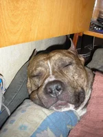 P2231514.webp P2231514.webp