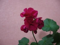  02.webp