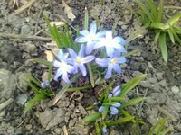 0410.webp