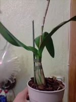 P140411_09.37.webp