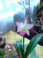 P140411_09.37[01].webp