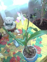 P140411_09.39.webp
