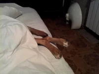 2010-12-13 23.28.10.webp