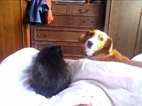 2011-02-13 12.18.20.webp