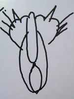 SCfGXy8cWmM.webp