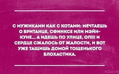 zOkby-mNpLg.jpg