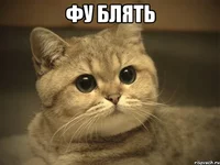 pidrila-ebanaya-kotik_6367709_orig_.jpg