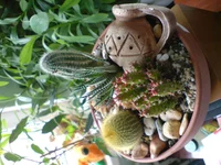 DSC00036.jpg