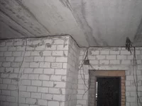 DSCN4813.webp