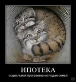 1255503387_2.webp