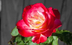 IMG_0593_edited-1.webp